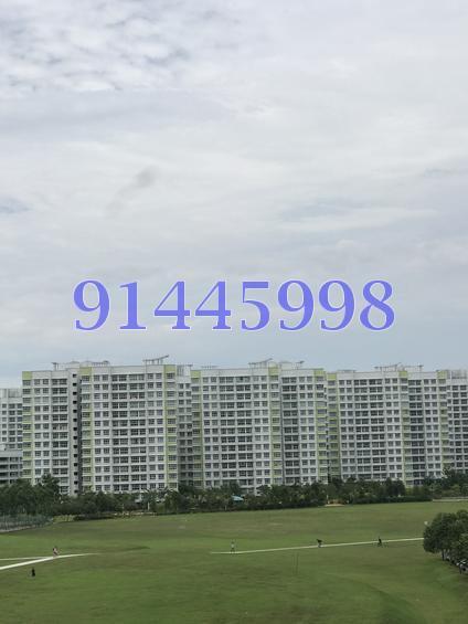 Jewel @ Buangkok (D19), Condominium #130626992